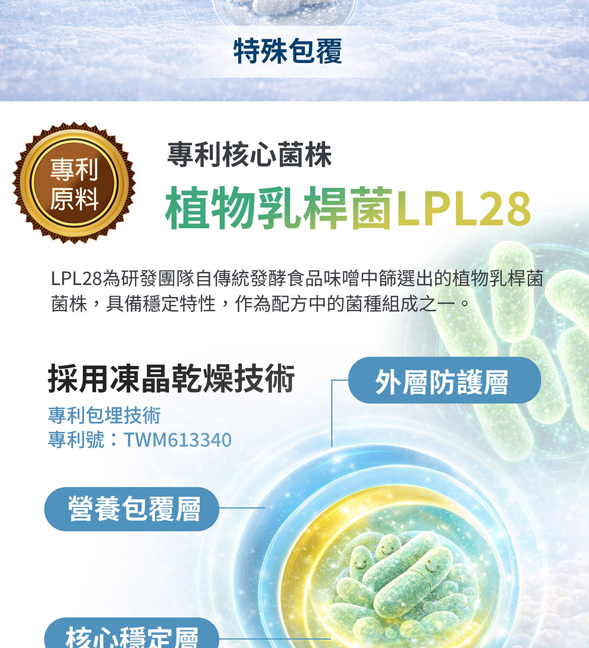 多菌株益生菌配方 植物乳桿菌LPL28與LRH09組合
