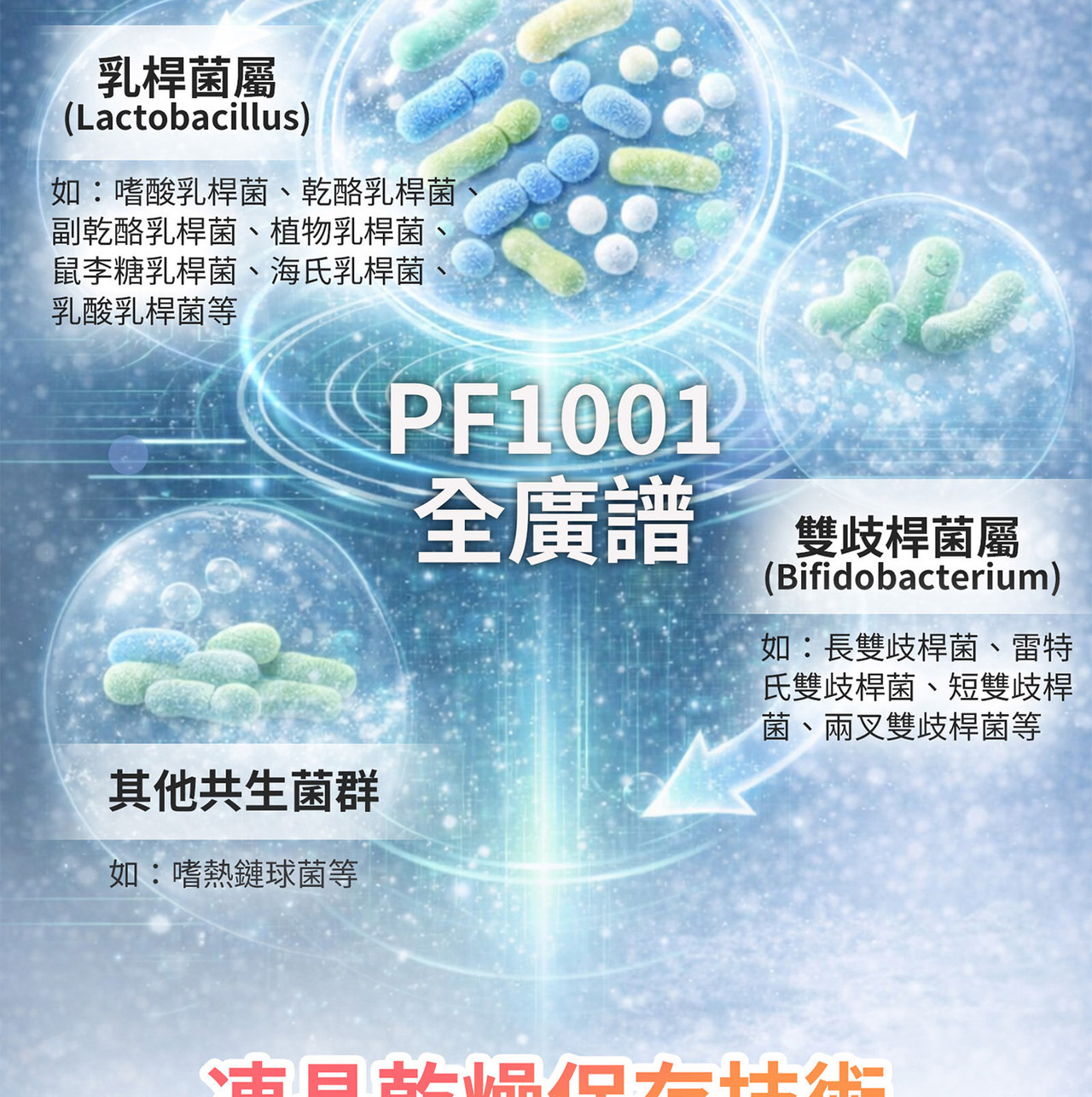 舒敏益生菌粉包 多菌株與益生質結構型營養設計