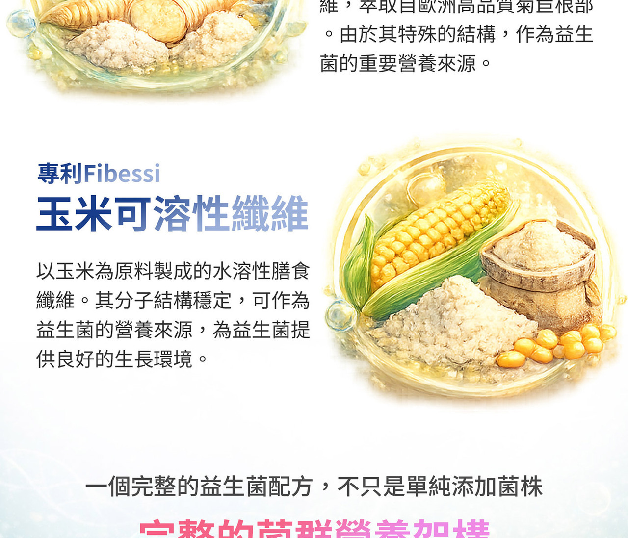 可溶性膳食纖維與菊苣纖維 多重纖維營養設計