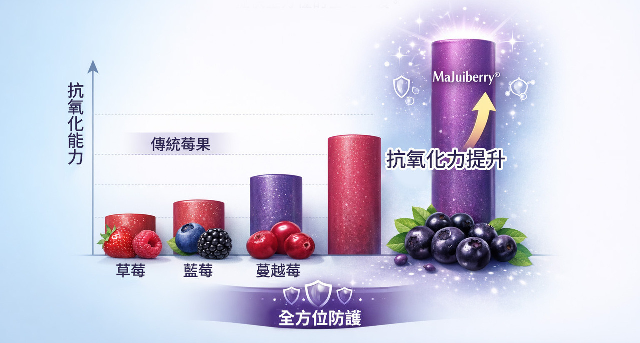 MaJuiberry 抗氧化能力對比圖