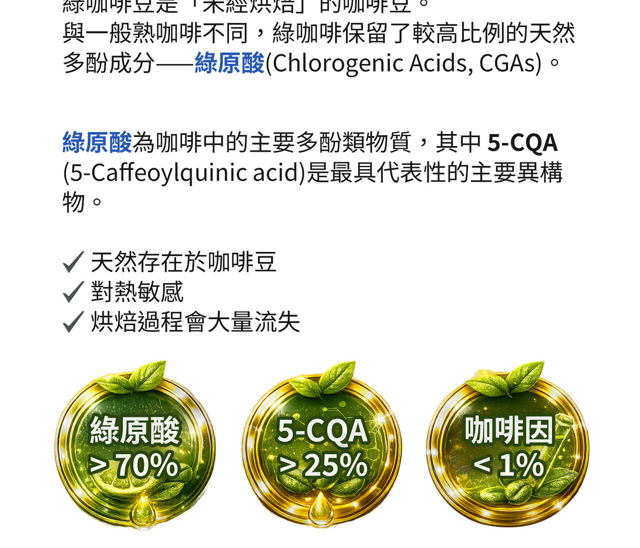 綠咖啡GCB70萃取70%綠原酸 植物多酚來源