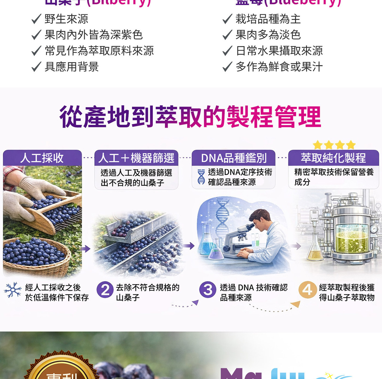 山桑子黑醋栗智利酒果三大莓果配方