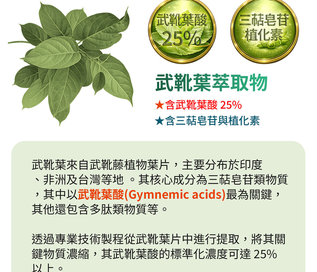 武靴藤萃取25% 傳統植物來源成分