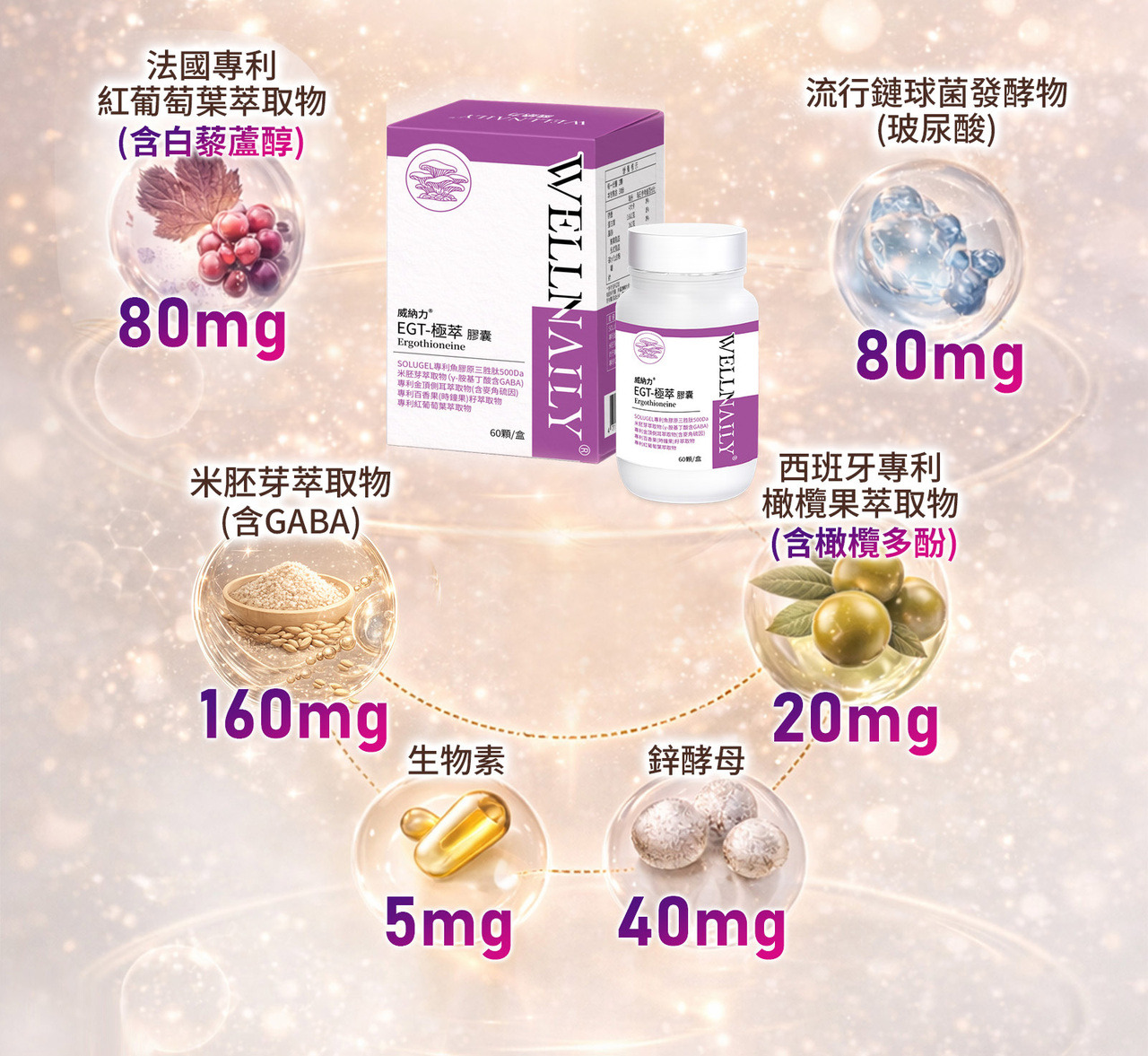 ETG極萃膠囊產品首圖 膠原蛋白三胜肽與麥角硫因多層營養設計