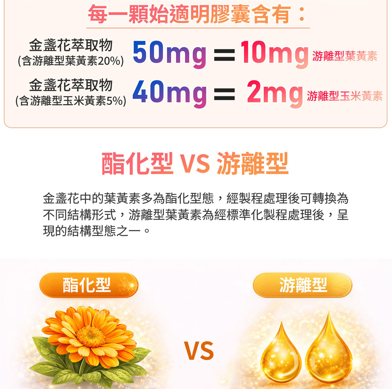 金盞花萃取物葉黃素與玉米黃素來源