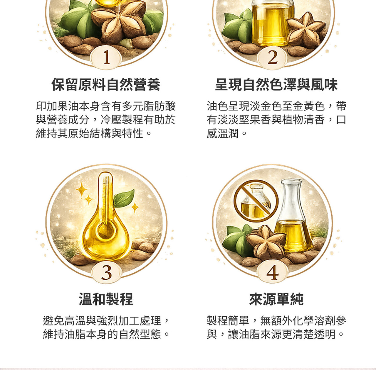 冷壓初榨印加果油製程流程圖