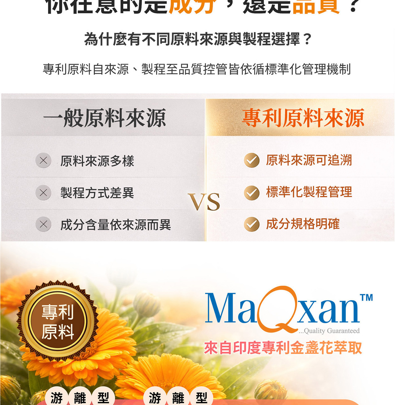 葉黃素玉米黃素複方配方設計說明
