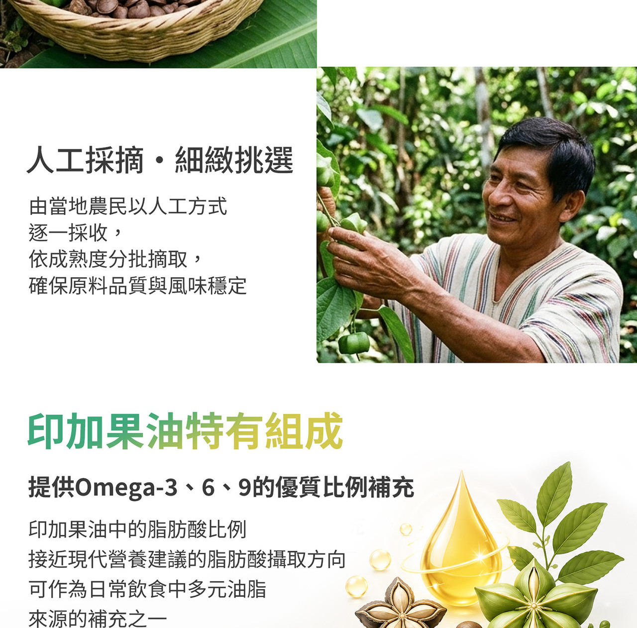 印加果果實與種子來源情境圖