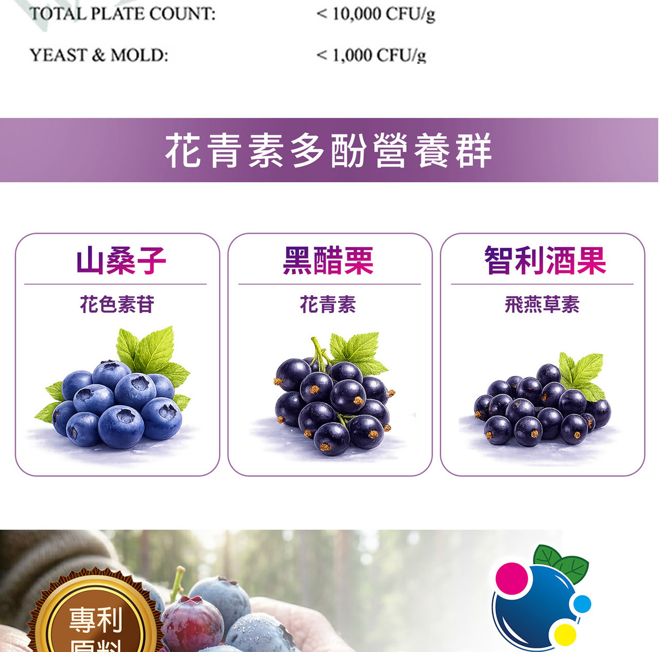 花青素來源與莓果萃取成分介紹