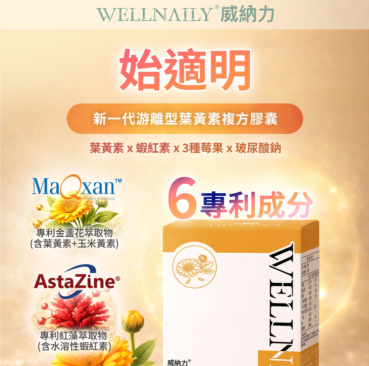 葉黃素玉米黃素複方配方設計說明