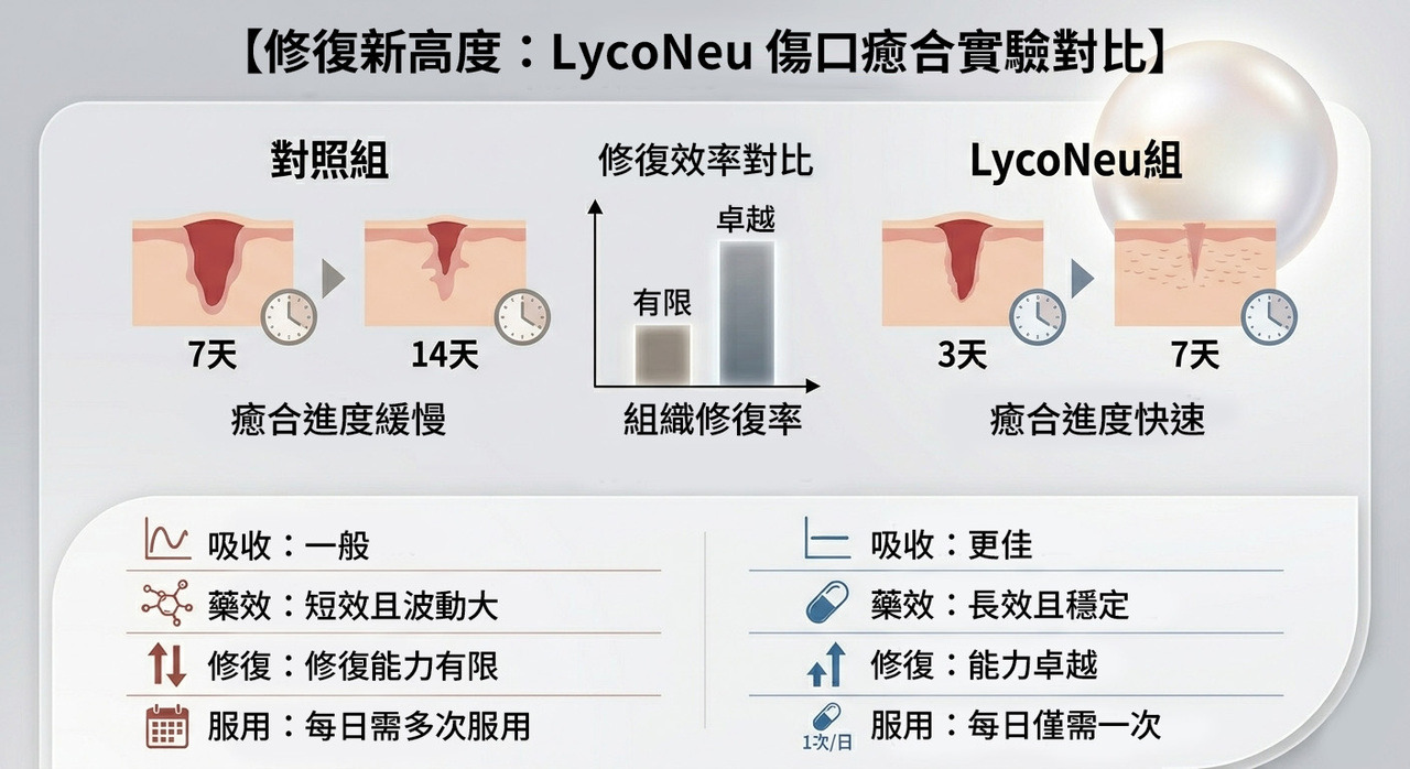 LycoNeu 傷口癒合實驗數據圖