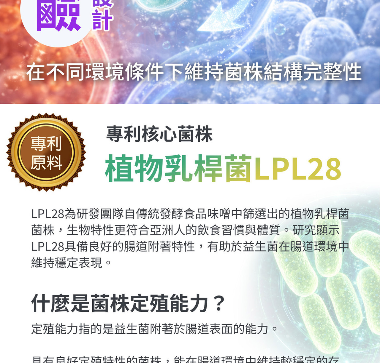 多菌株益生菌配方 植物乳桿菌LPL28與LRH09組合