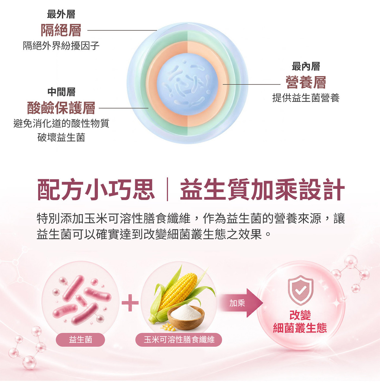 WELLNAILY威納力蔓越莓益生菌