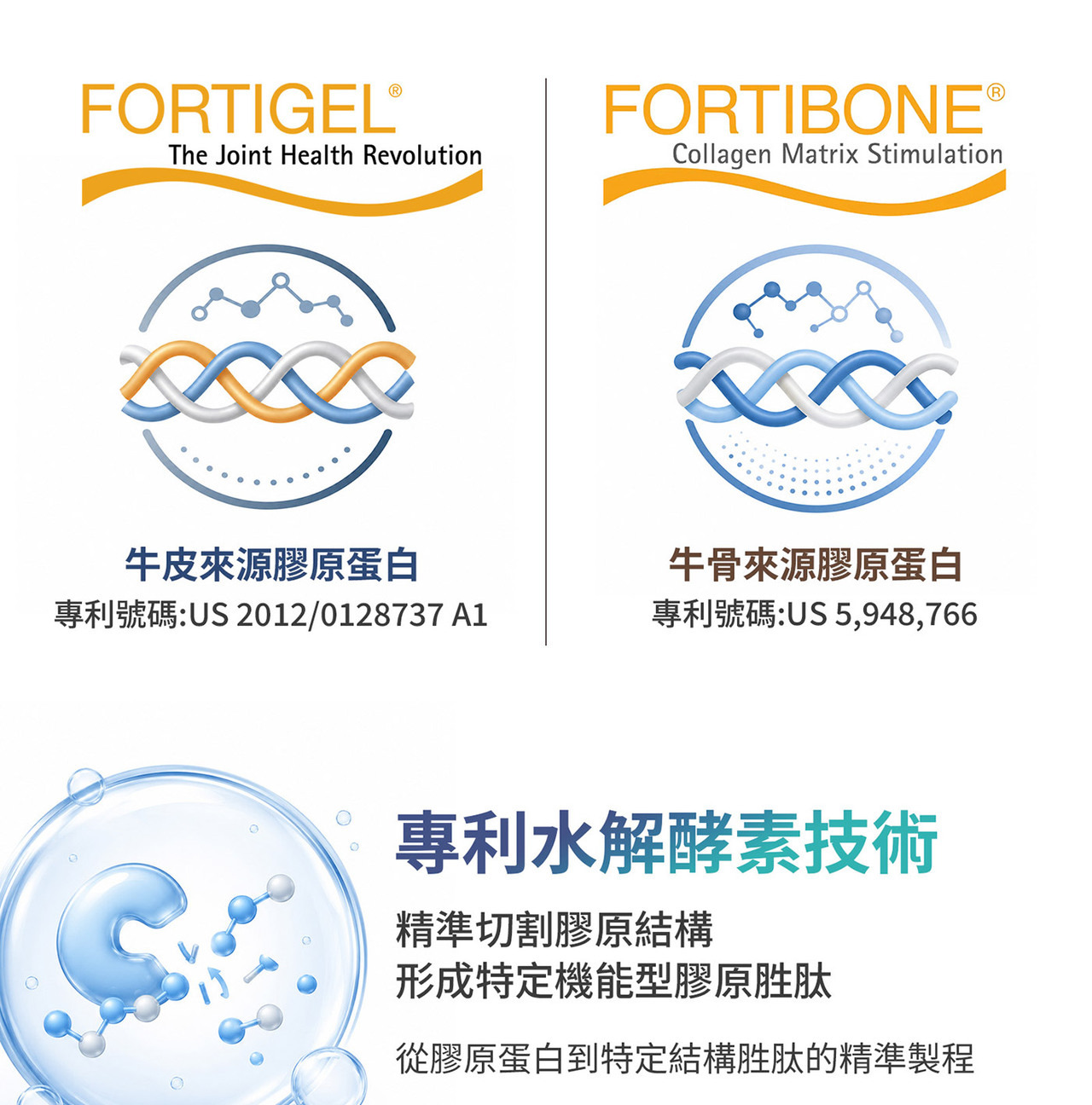 膠原蛋白與營養補給概念圖｜結構與型態差異說明
