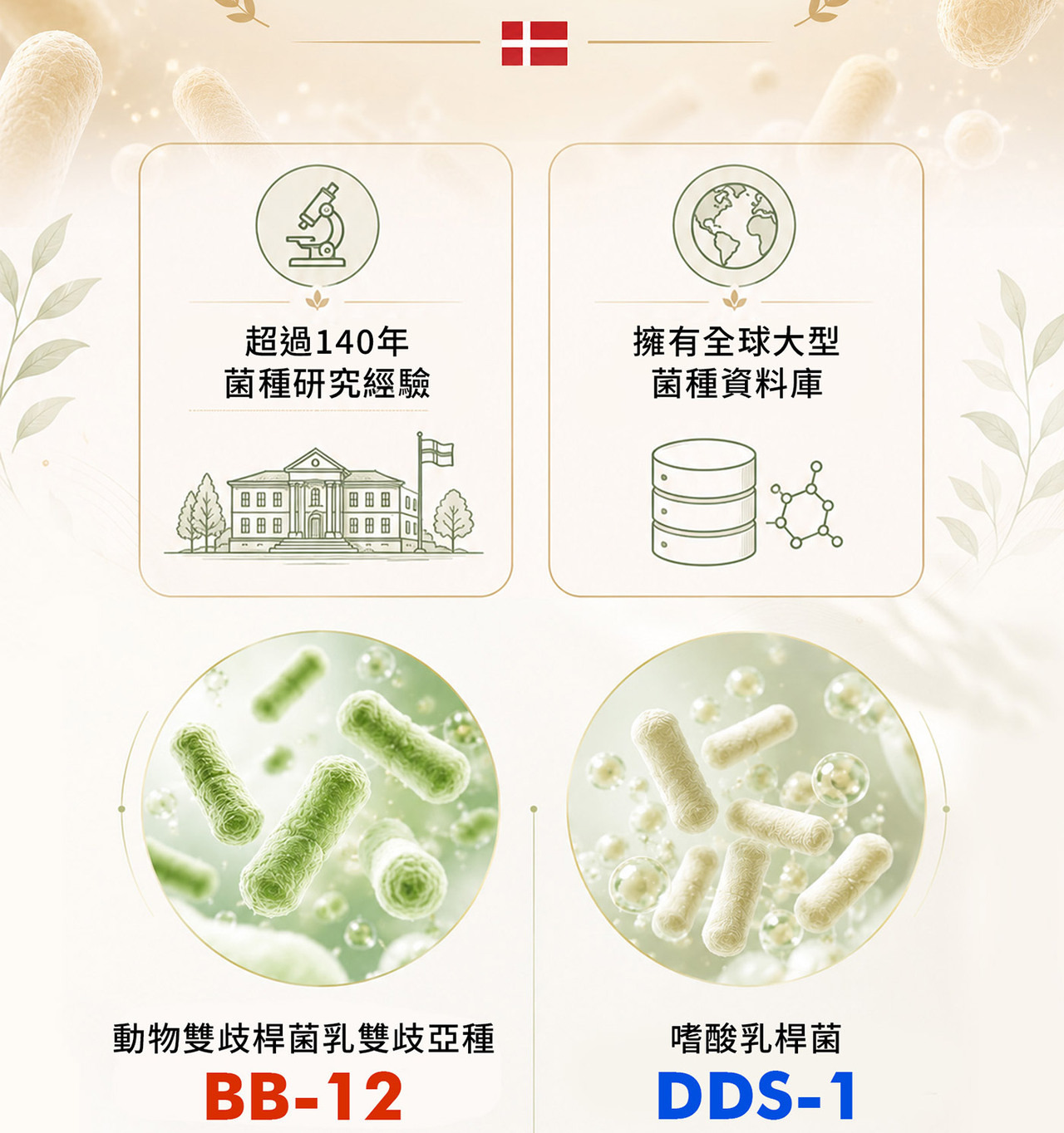威納力 酵素益生菌
