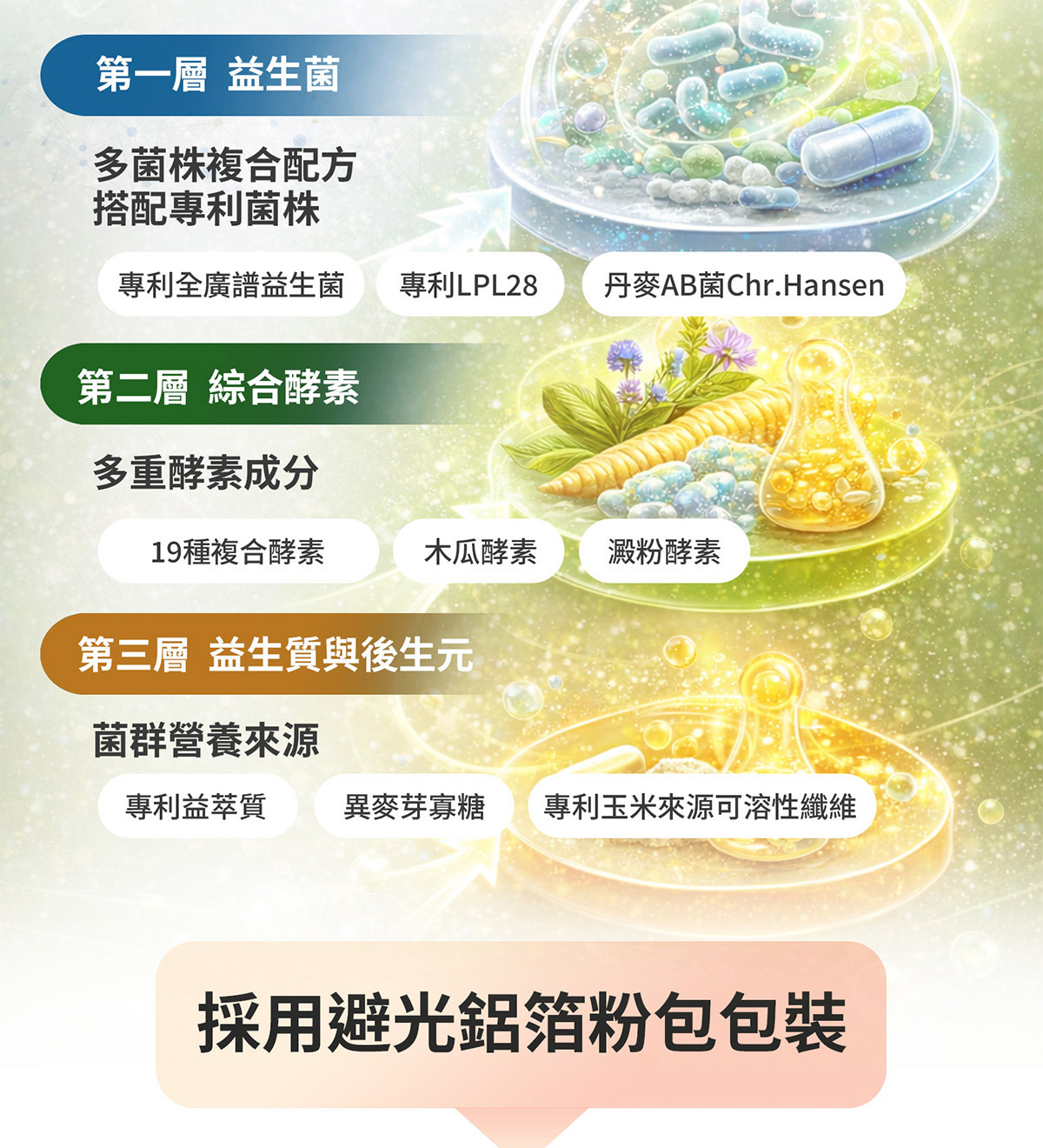 木瓜酵素澱粉酵素解脂酵素介紹