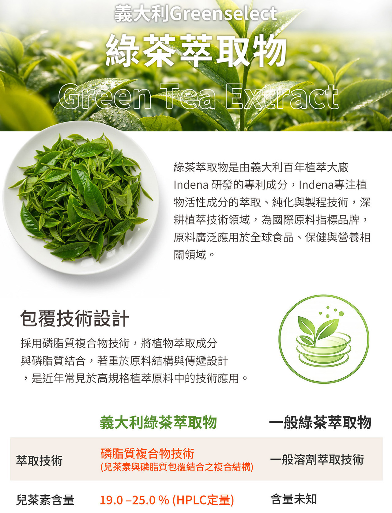 Greenselect 綠茶萃取物 Phytosome 技術來源與特色圖