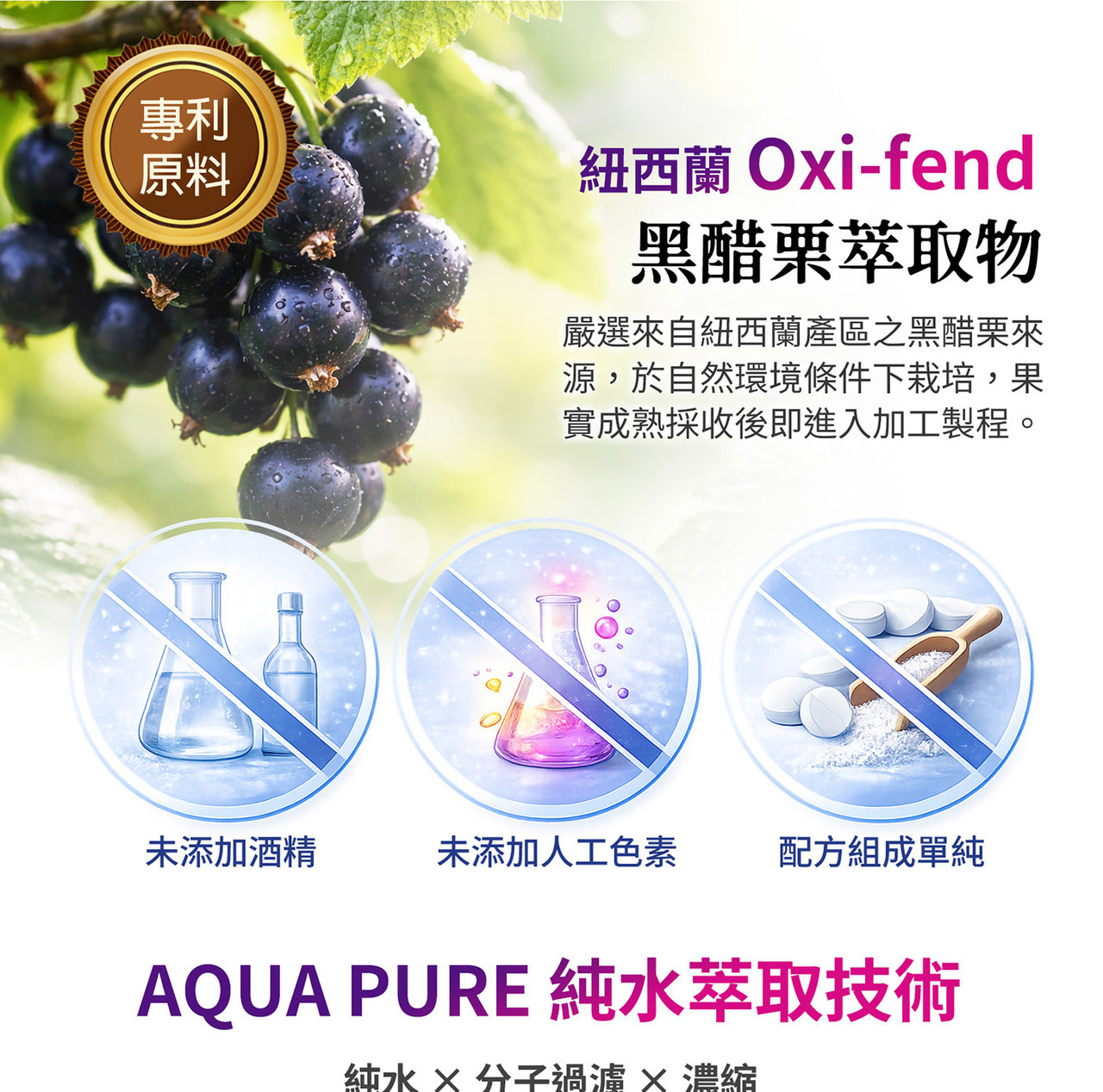 山桑子黑醋栗智利酒果三大莓果配方