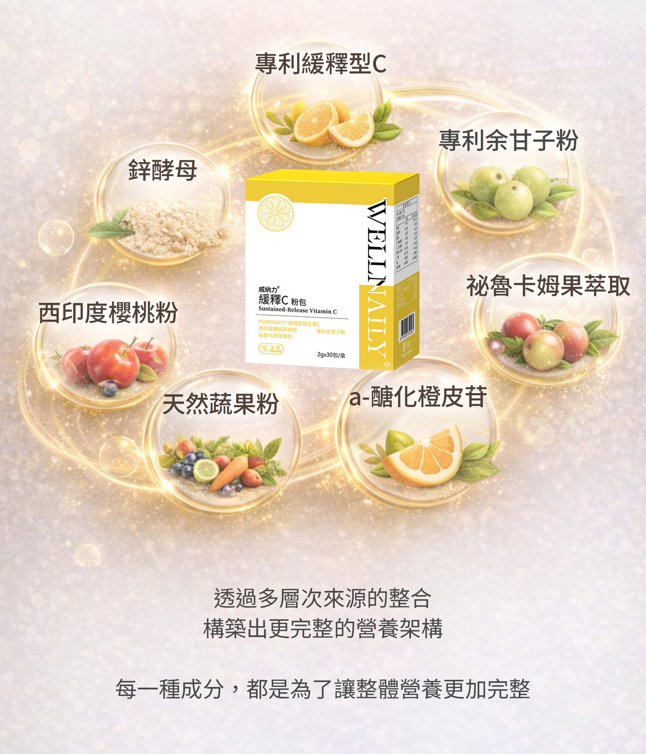 維生素C複方配方設計邏輯圖