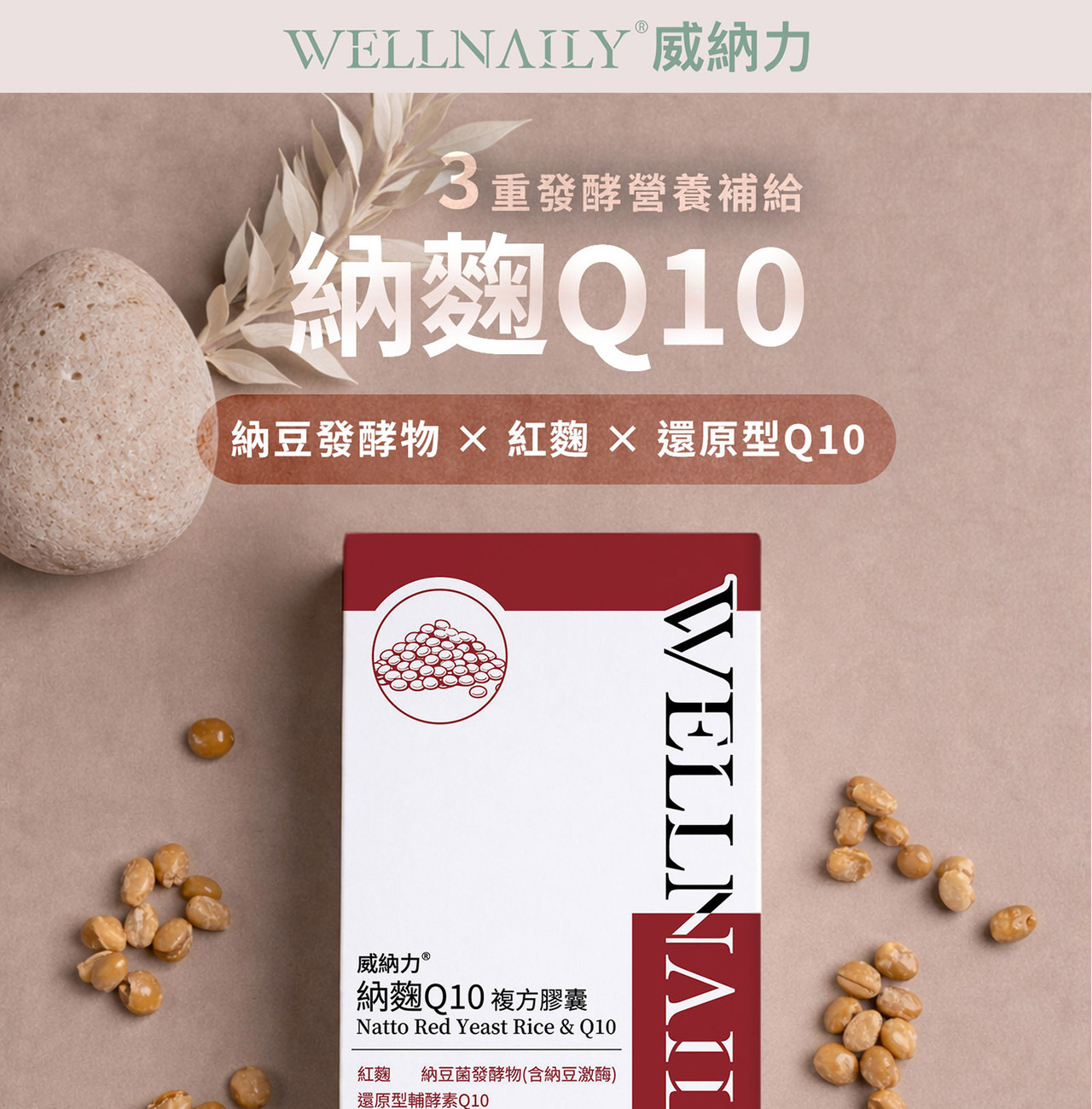 納豆菌發酵物與納豆激酶原料特寫，呈現發酵來源與自然成分質地