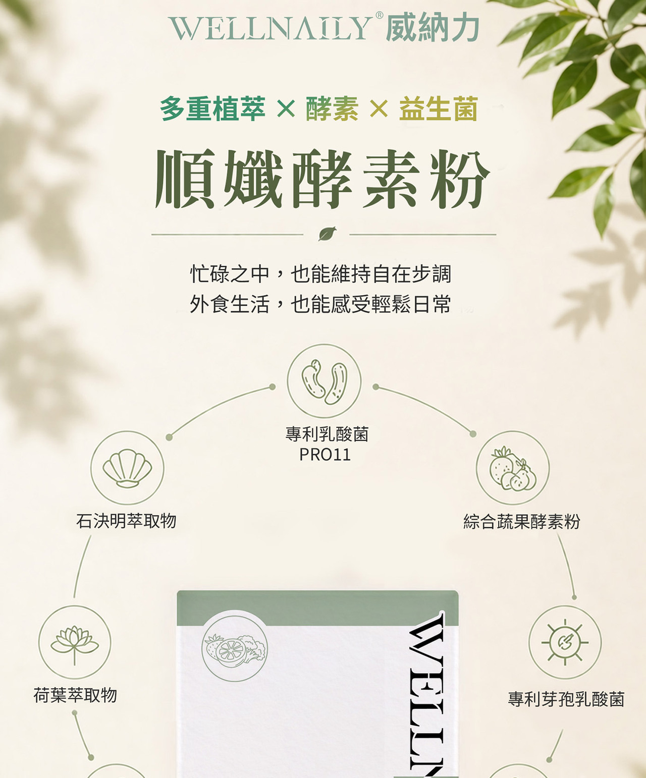 威納力 順孅酵素粉
