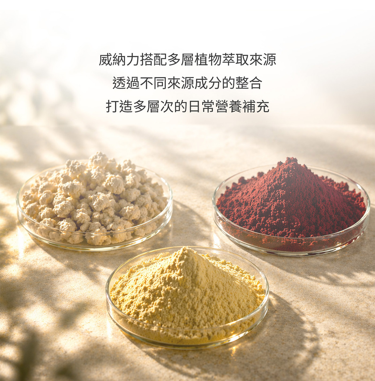 日本還原型Q10原料特寫，呈現精製後的高純度成分質感