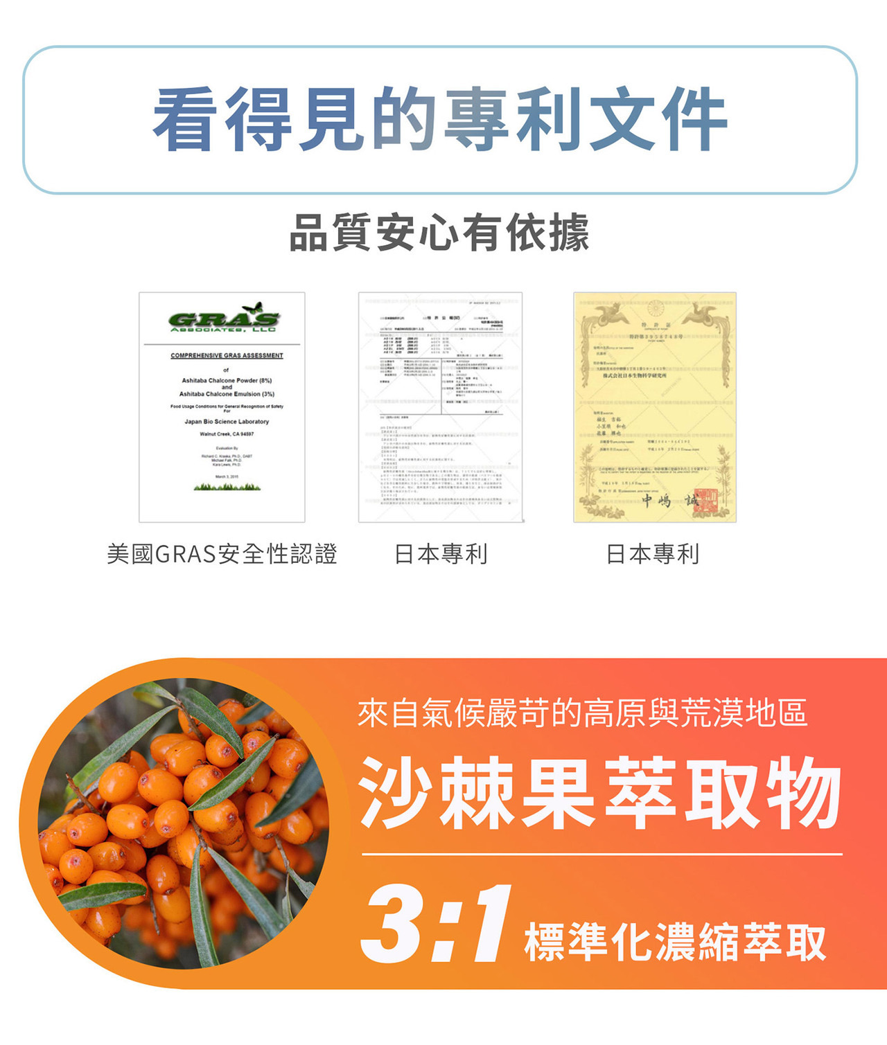 沙棘果萃取物原料與橘色果實近拍