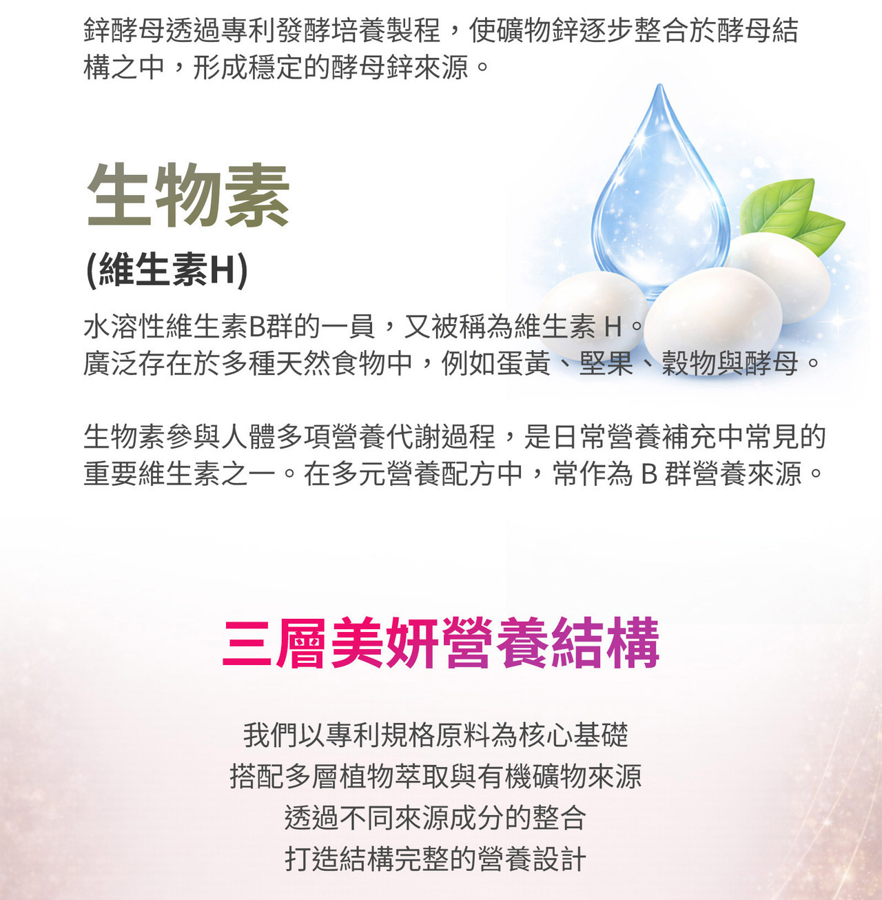 ETG極萃膠囊 多層次營養配方設計 結構型補給概念