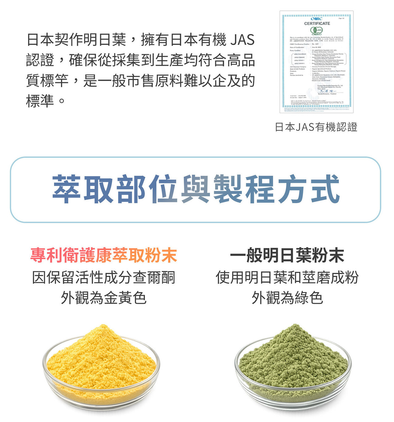 日本明日葉萃取物與植物葉片細節