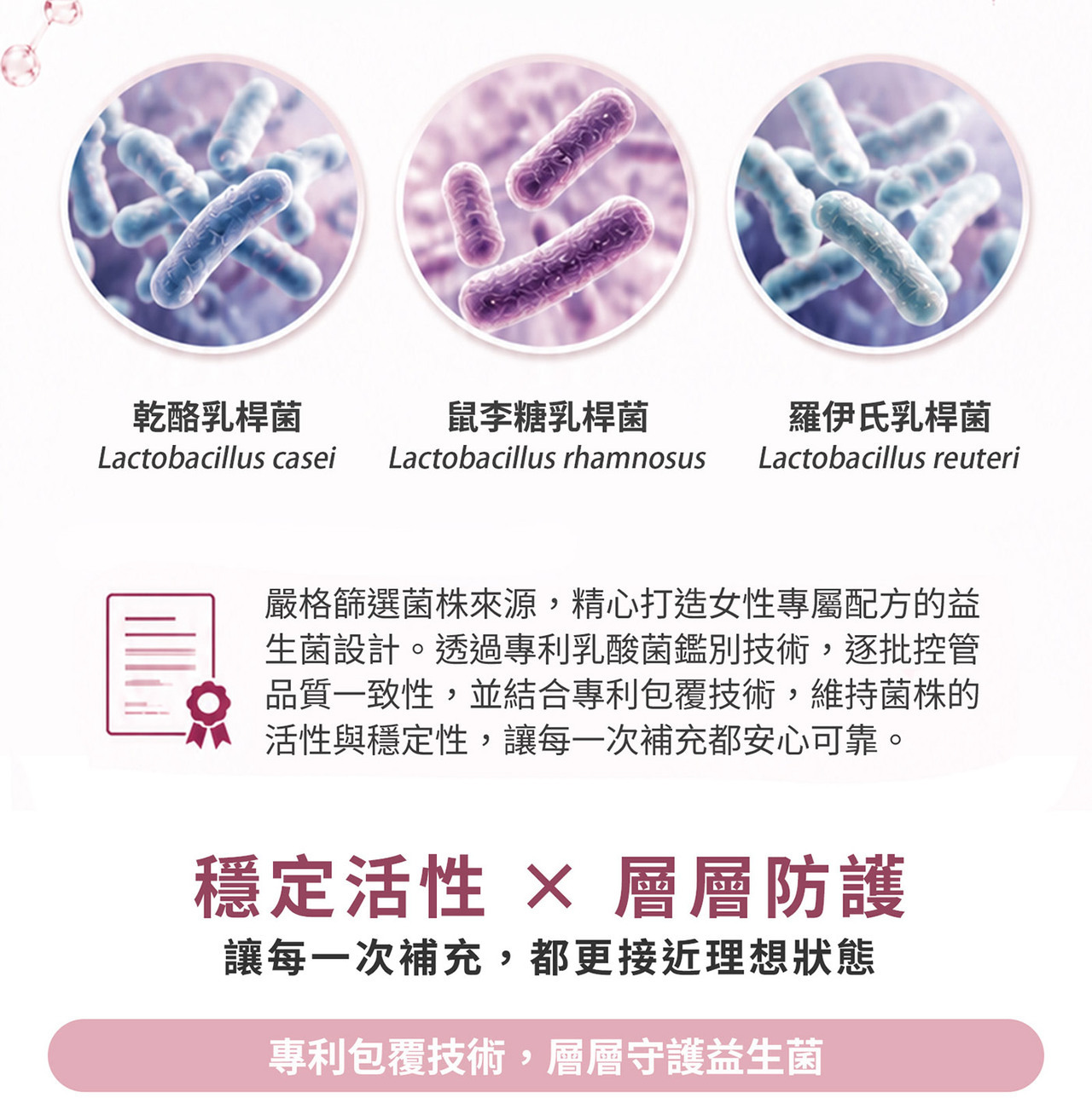 WELLNAILY威納力蔓越莓益生菌