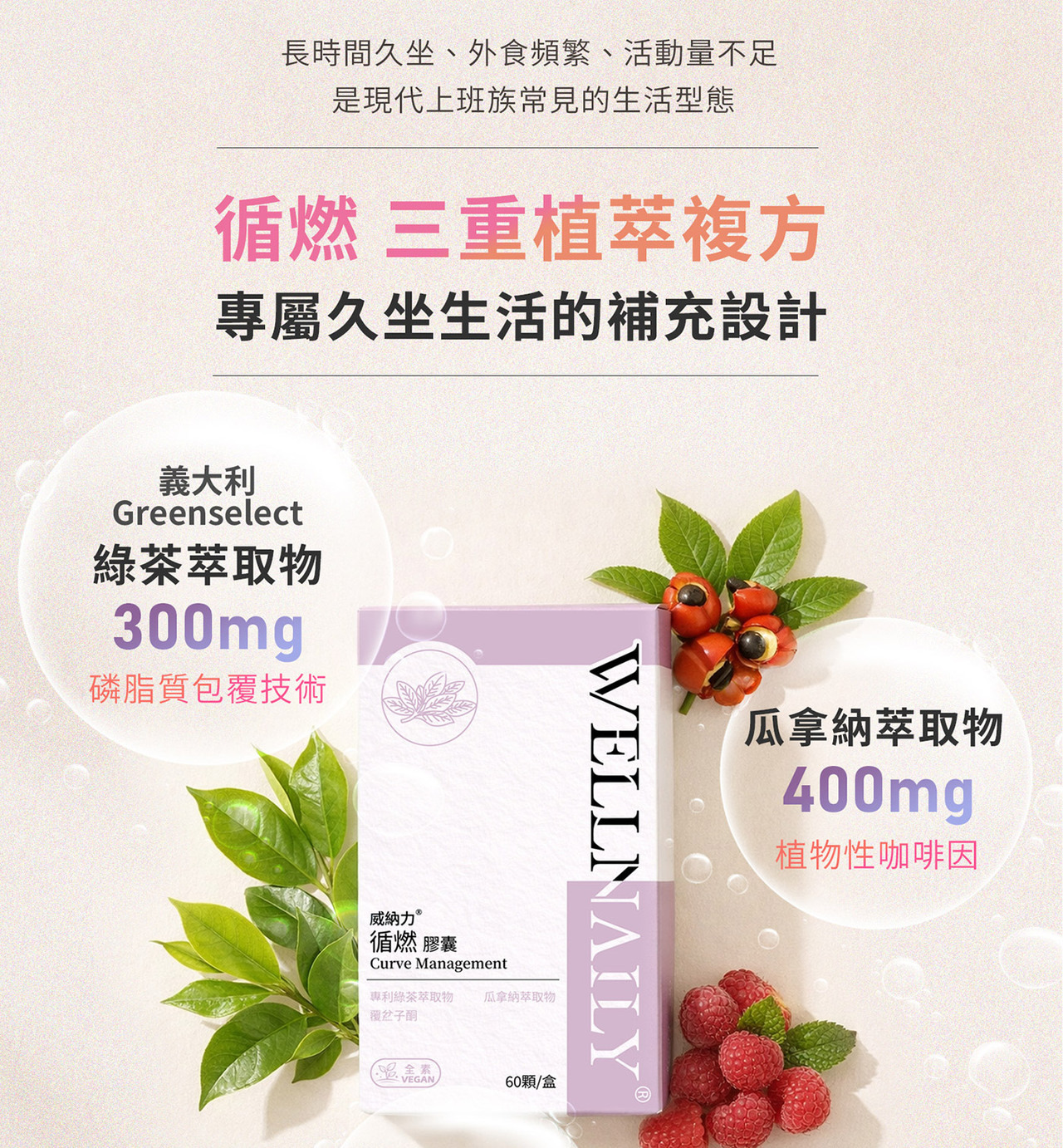 綠茶萃取物 瓜拿納 覆盆子酮三重複方設計示意圖