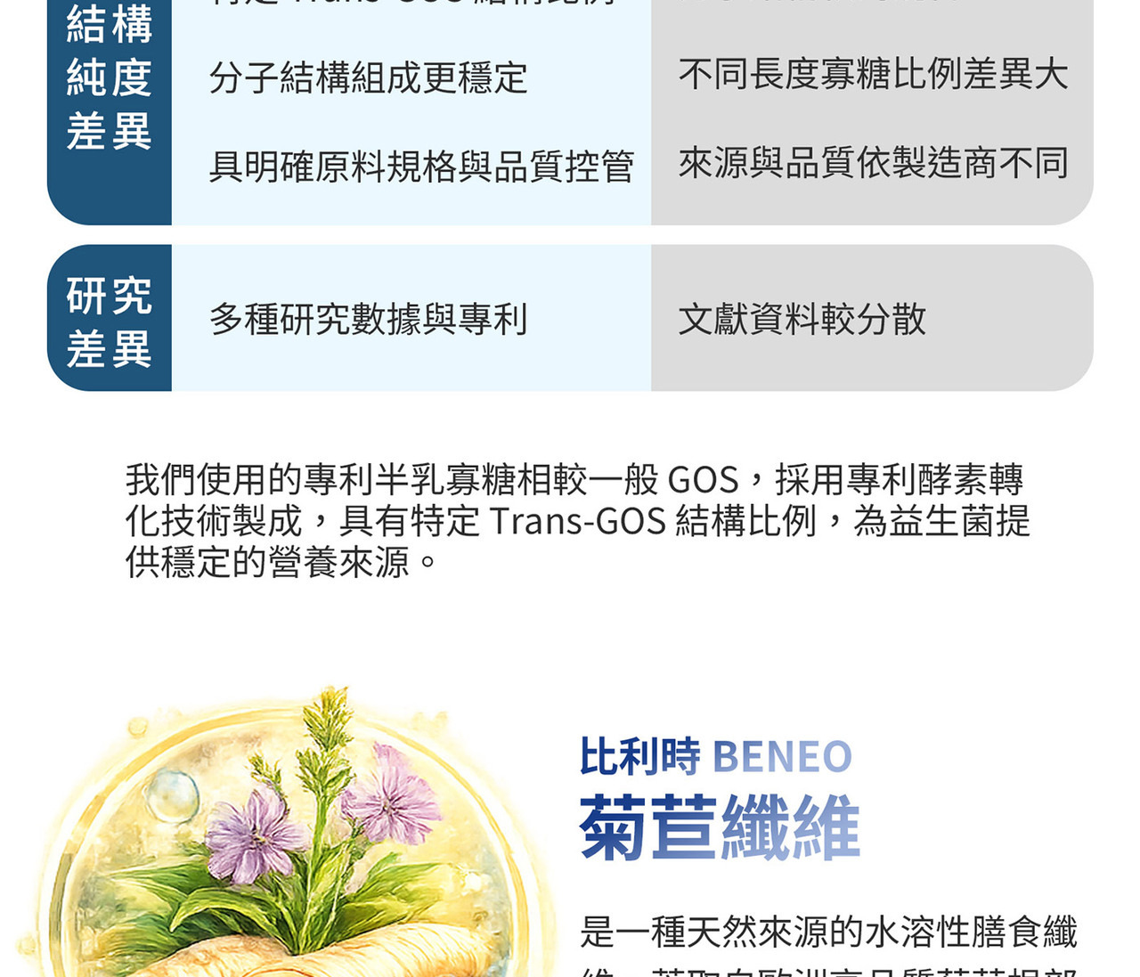 半乳寡糖GOS與菊苣纖維 益生質補給來源