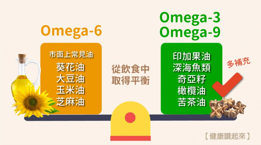 Omega3 植物油推薦種類示意圖