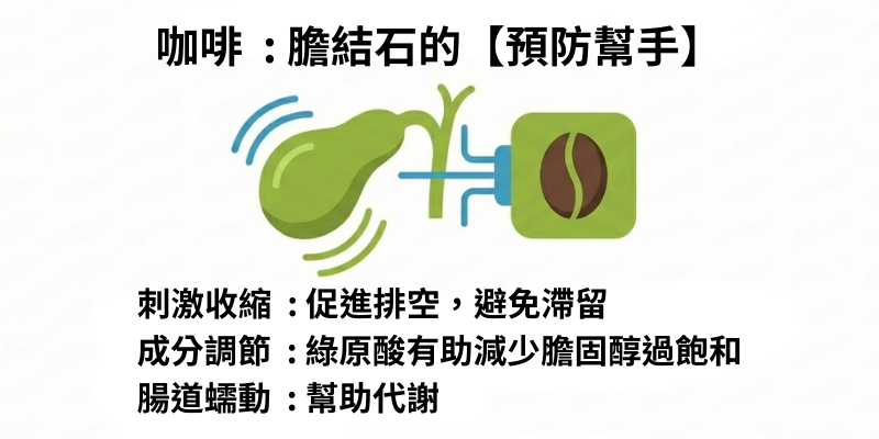 咖啡:膽結石的預防幫手