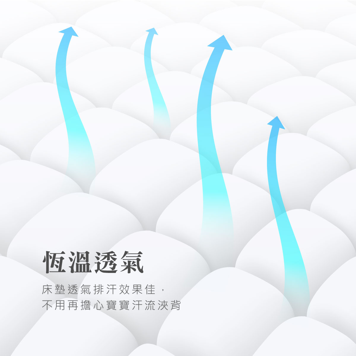 酷咕鴨 KUKU PLUS雲眠加厚床墊3.png