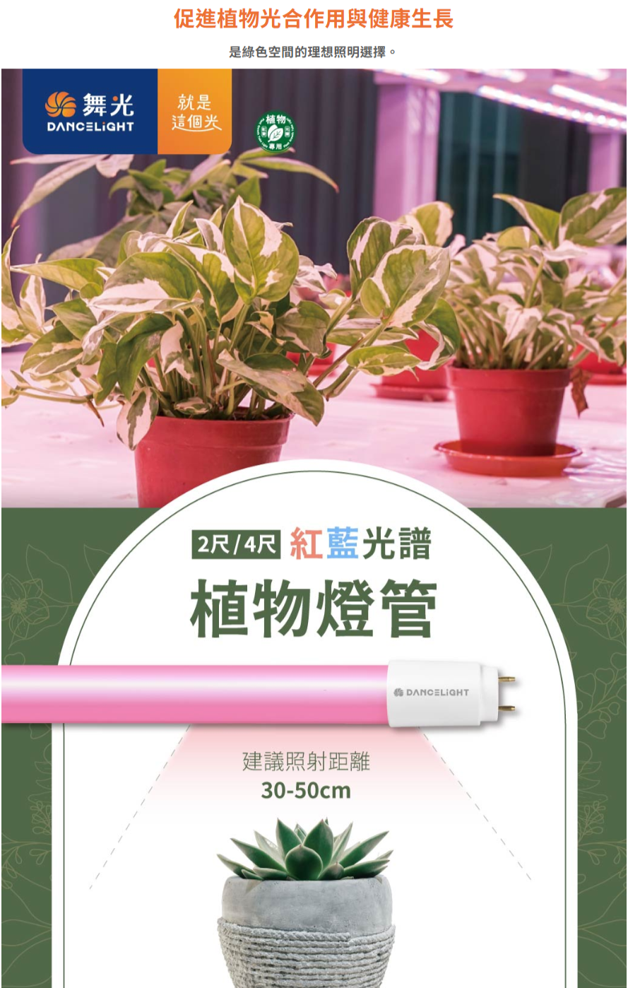 www.dancelight.com.tw_tw_product_tube-0009_detail_spec_1=2013&spec_2=31213.png