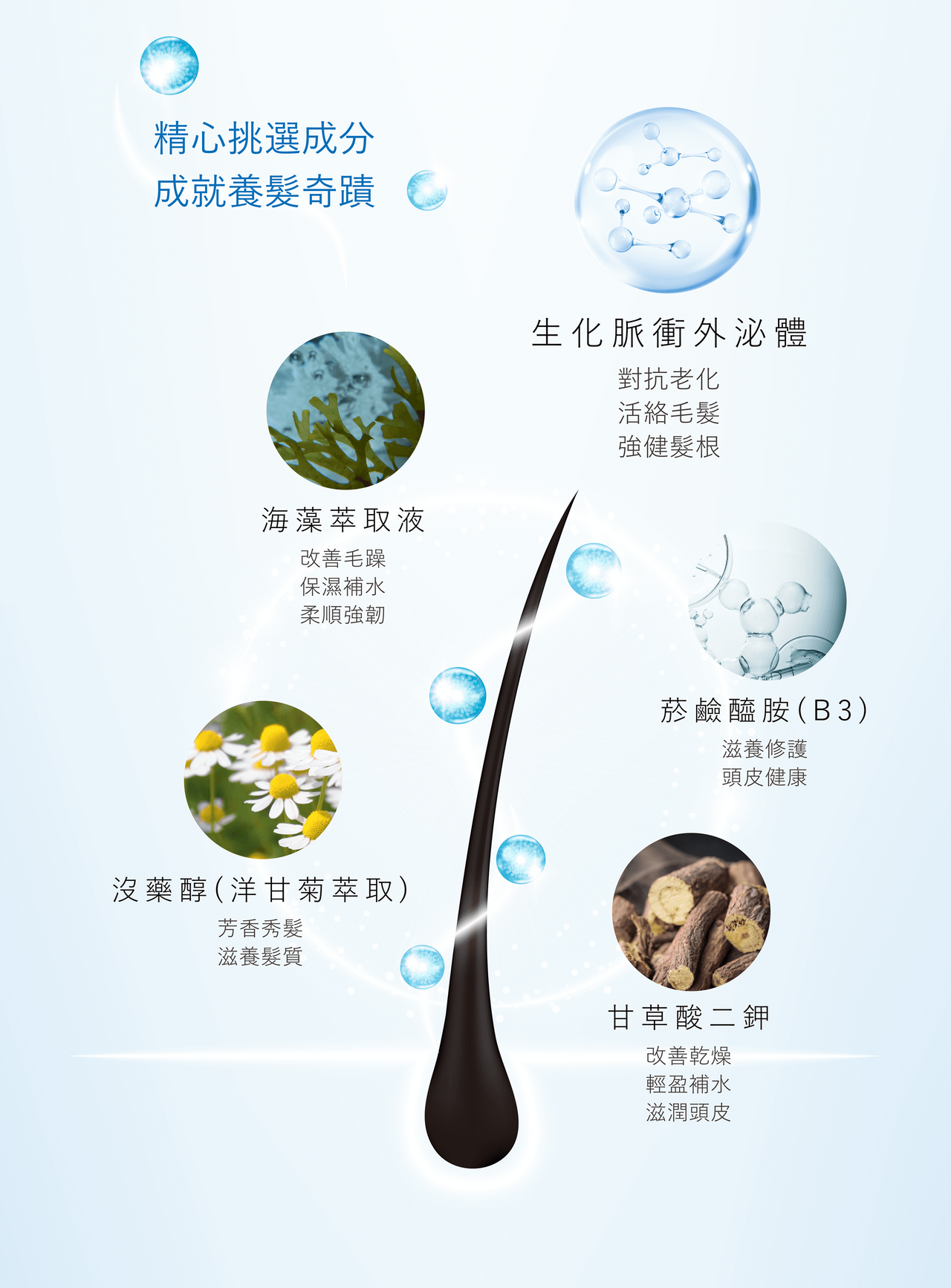 奢耀系列外泌體養髮液