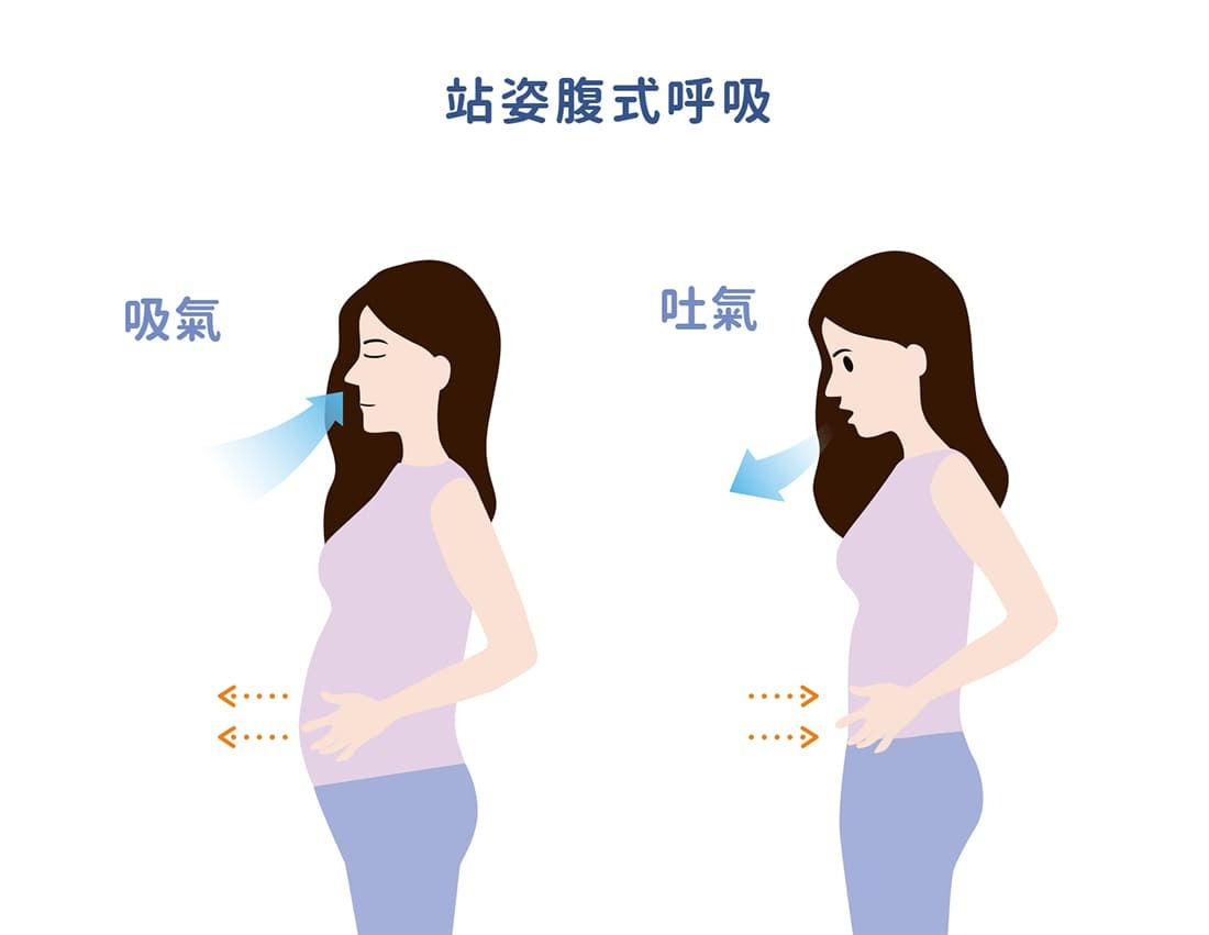 腹式呼吸示意