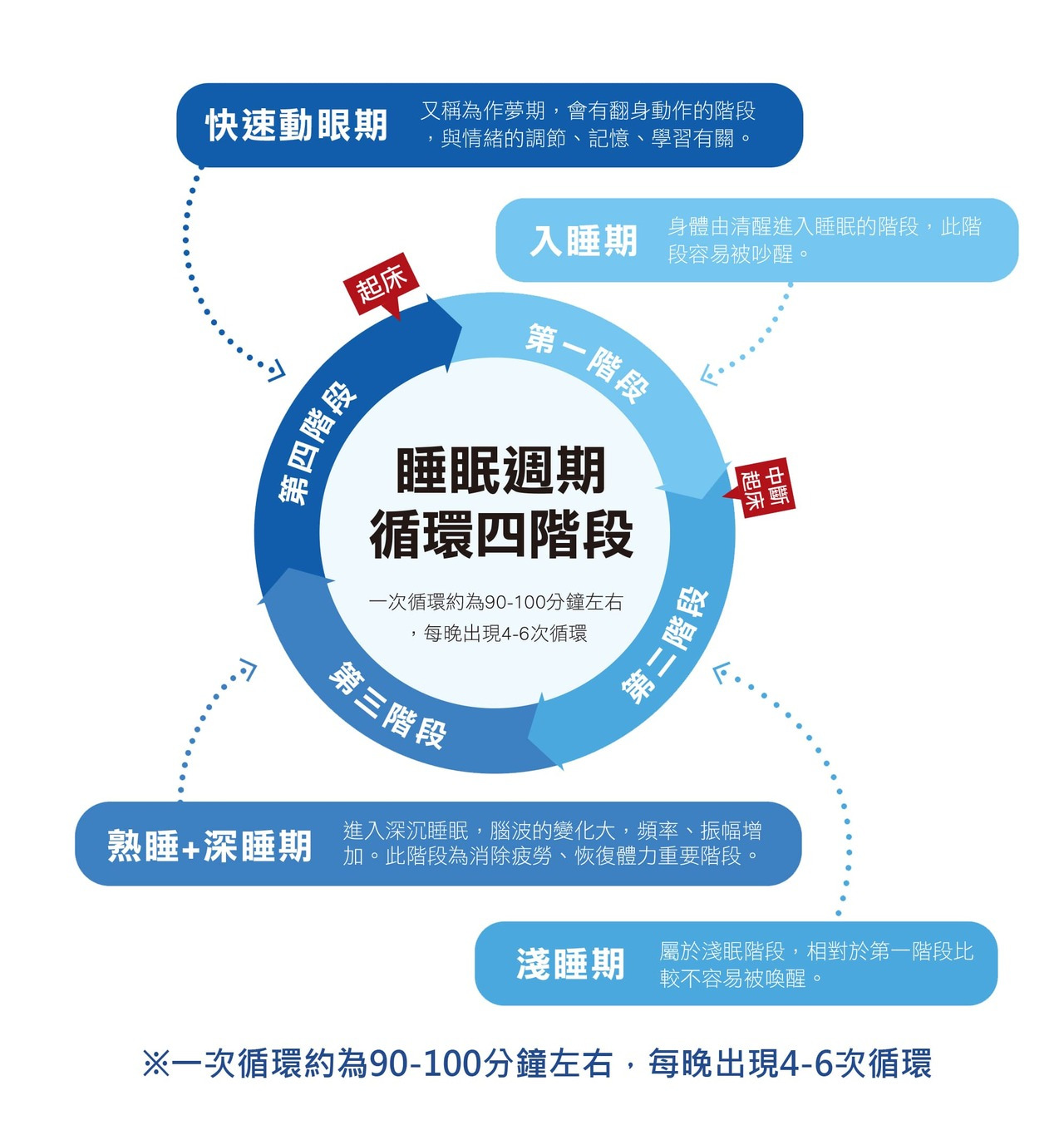 睡眠週期示意圖