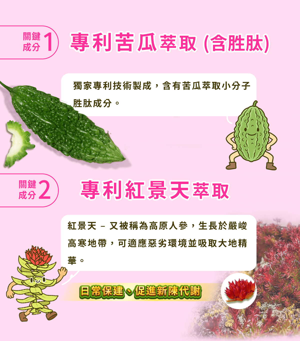 醣快穩產品介紹
