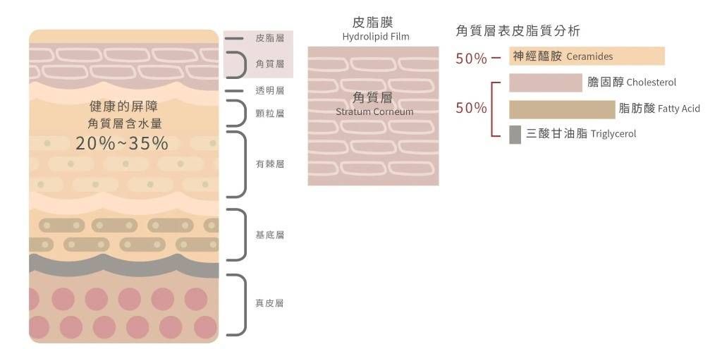 沛希研優質成分架構圖