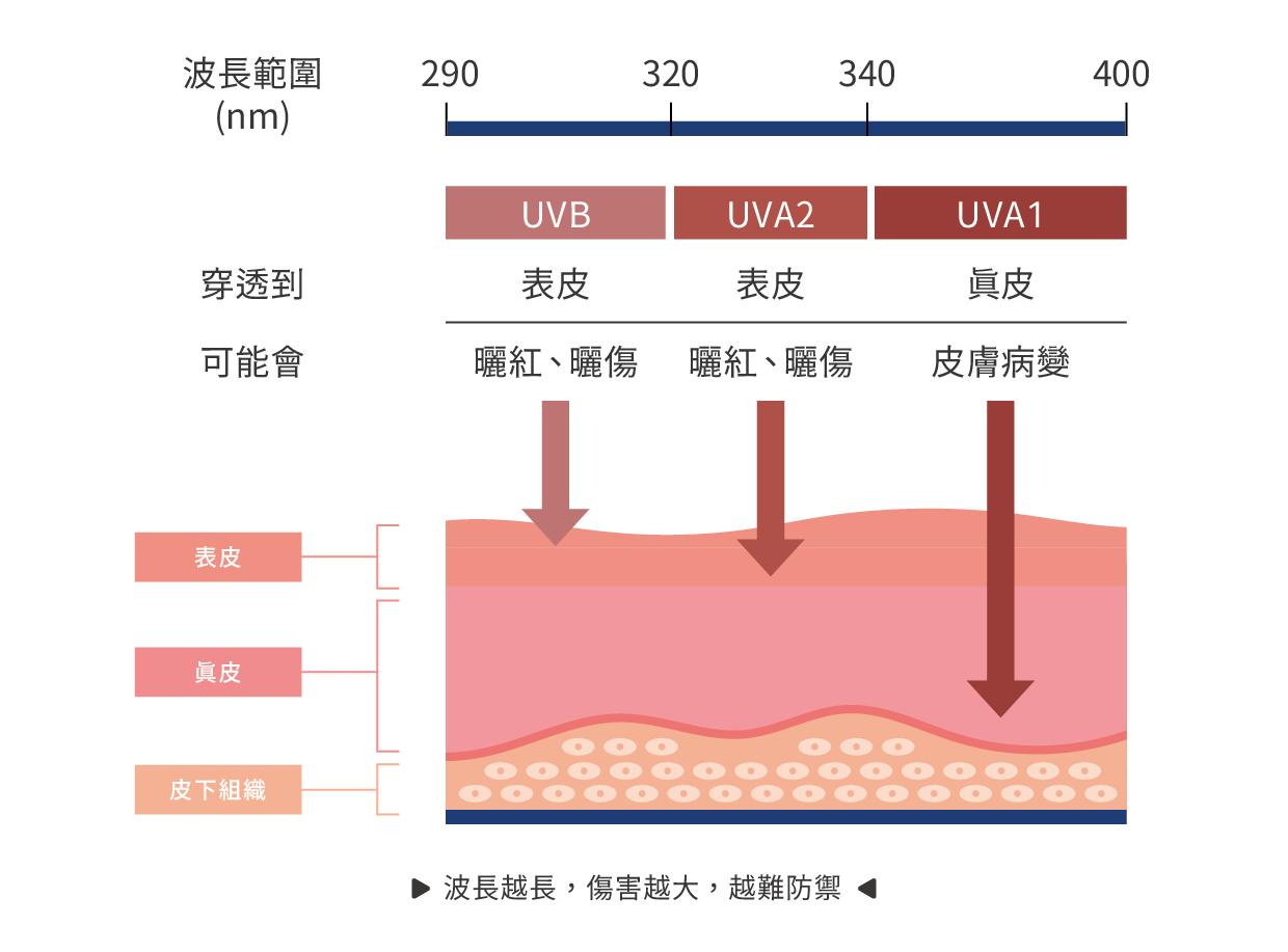 紫外線穿透示意圖