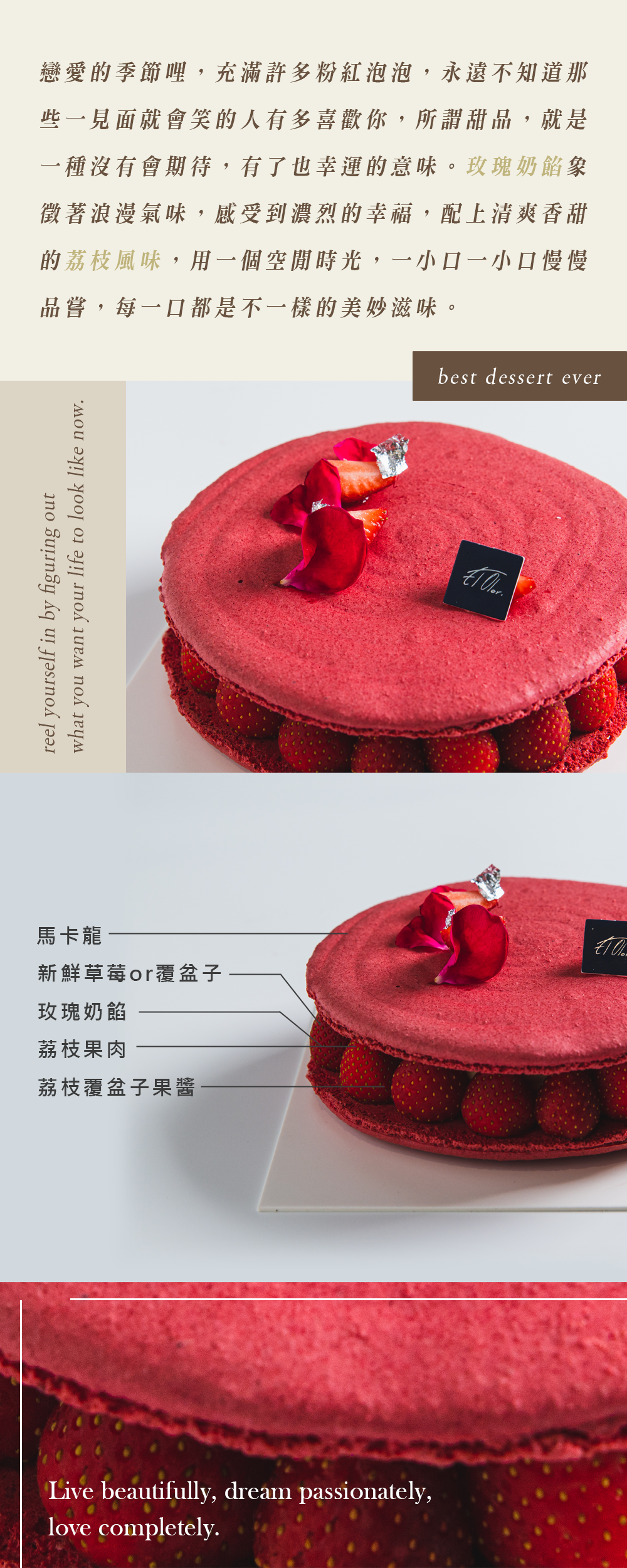 台南法式蛋糕推薦｜Elolor法式甜點、巨大版馬卡龍、草莓馬卡龍