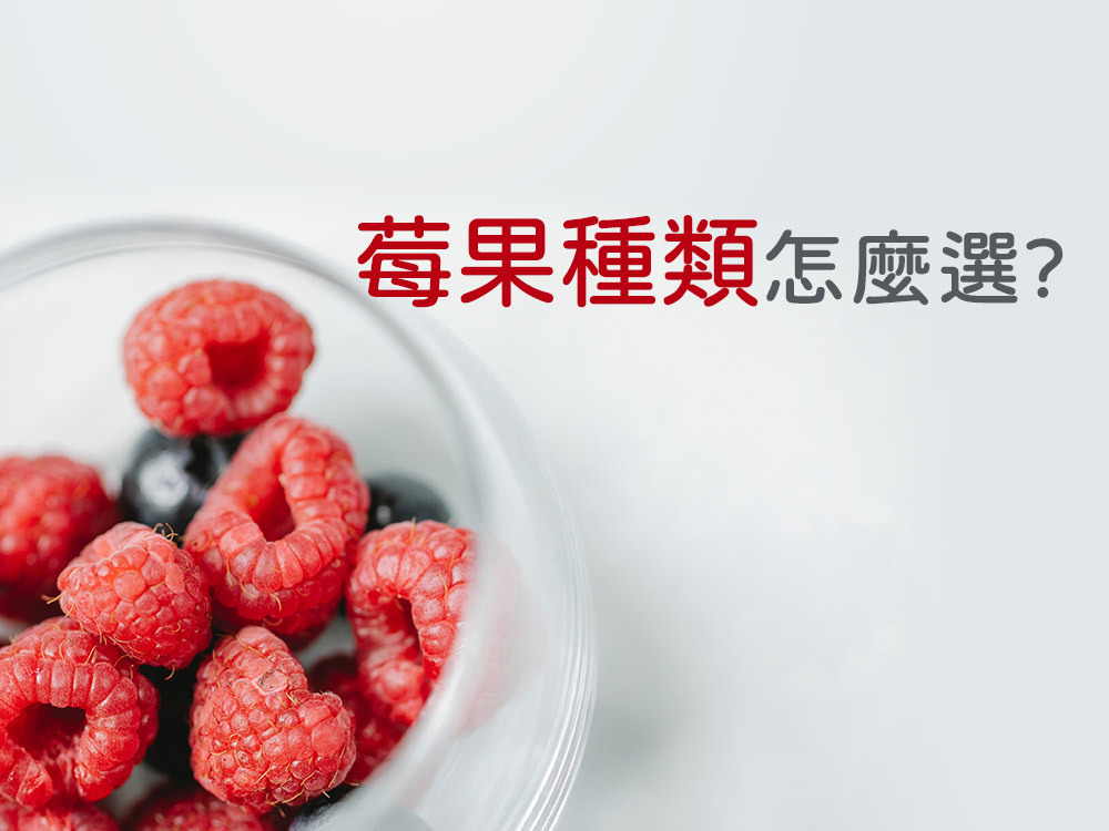 莓果種類怎麼選