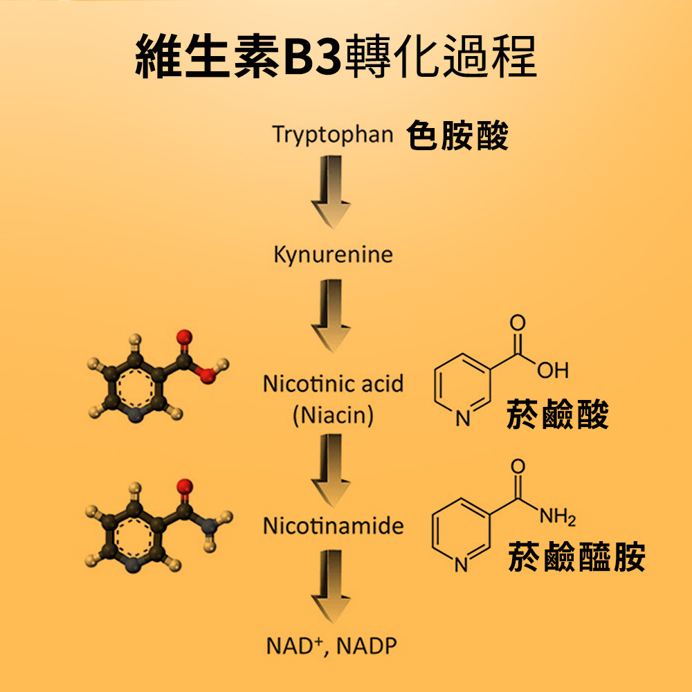 維生素B3菸鹼醯胺面膜轉化