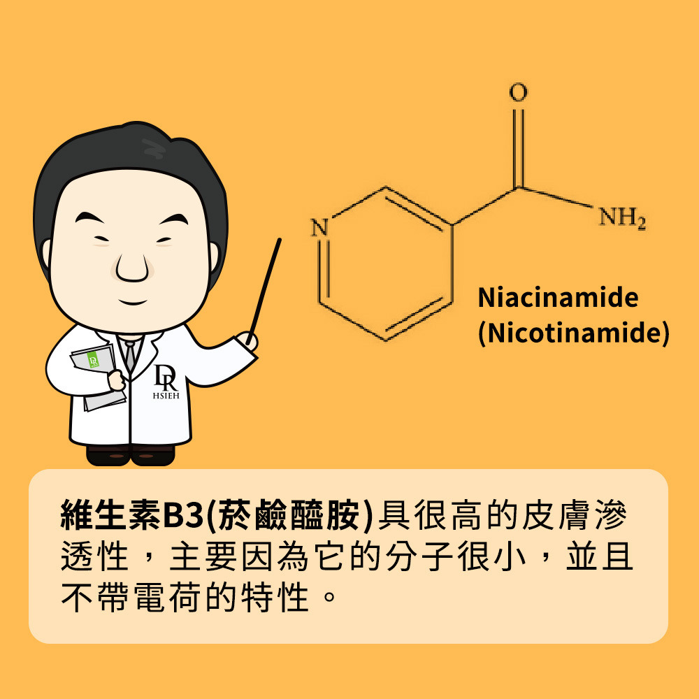 維生素B3菸鹼醯胺精華小分子B3
