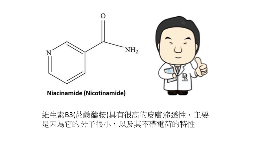 維他命B3(菸鹼醯胺)