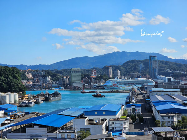 宜蘭蘇澳漁港直送鯖魚