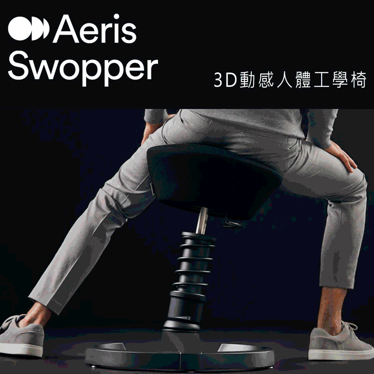 雅浩家具-Aeris-swopper-3D成人動感人體工學椅-嚴選砥家