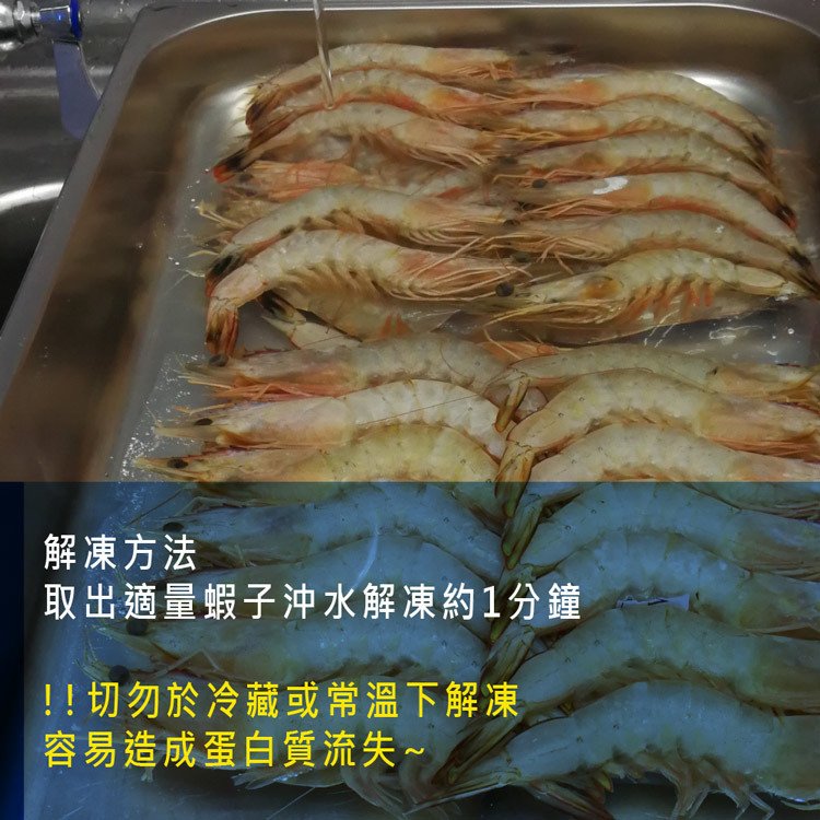 急凍無毒藍鑽白蝦-M號-每隻12-15克-500g-宜蘭純淨海水-益生菌養殖-全程不用藥-不添加抗生素-嚴選砥家